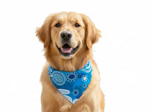 Load image into Gallery viewer, Wear It All Wrap - Blue Blessed